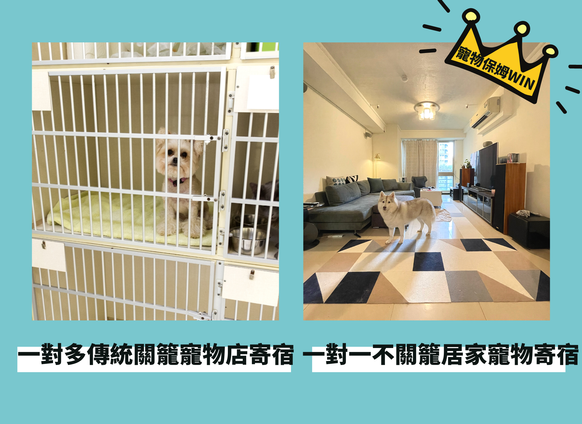 寵物旅館 寵物保姆 比較 寵物寄宿