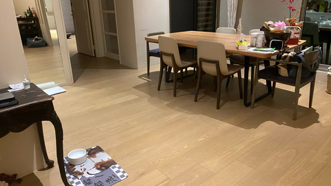 Melissa-2 大安區寵物寄宿 狗狗安親