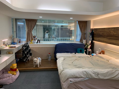 debra 寵物旅館 狗狗寄宿