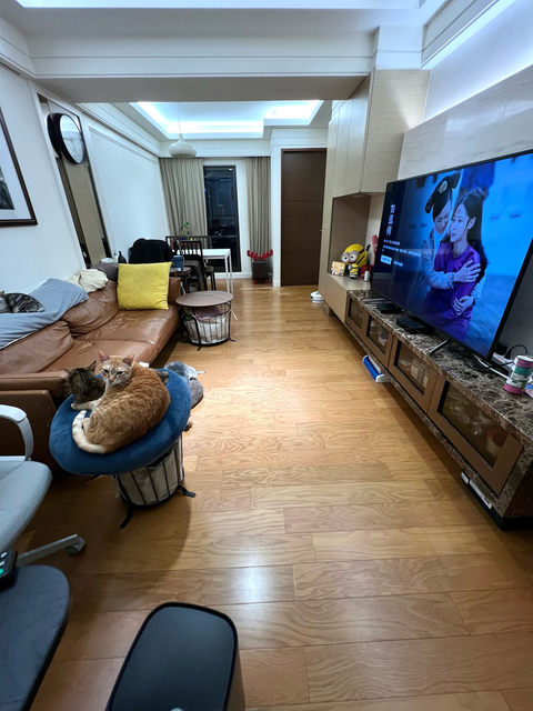 riva 大安區寵物寄宿 寵物旅館