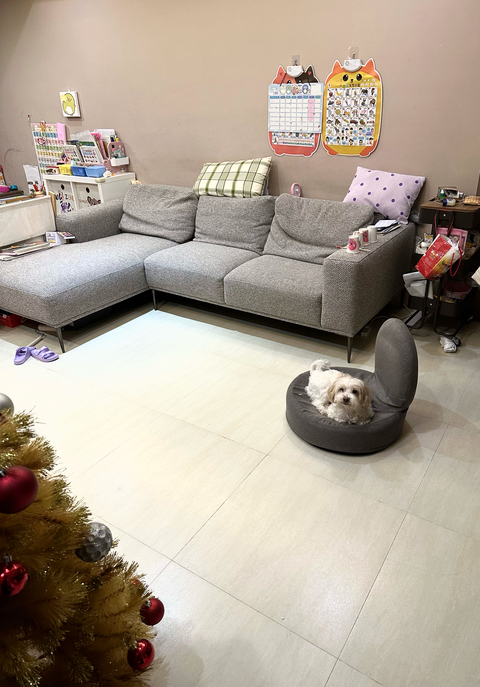 米米媽 士林區寵物寄宿 寵物旅館