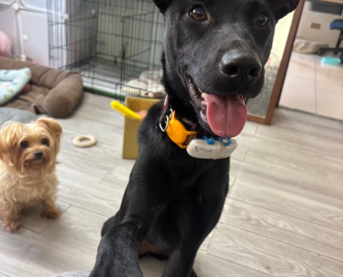 Fluv_IGOTYOU_Foster_俏皮萊雅_250611_1