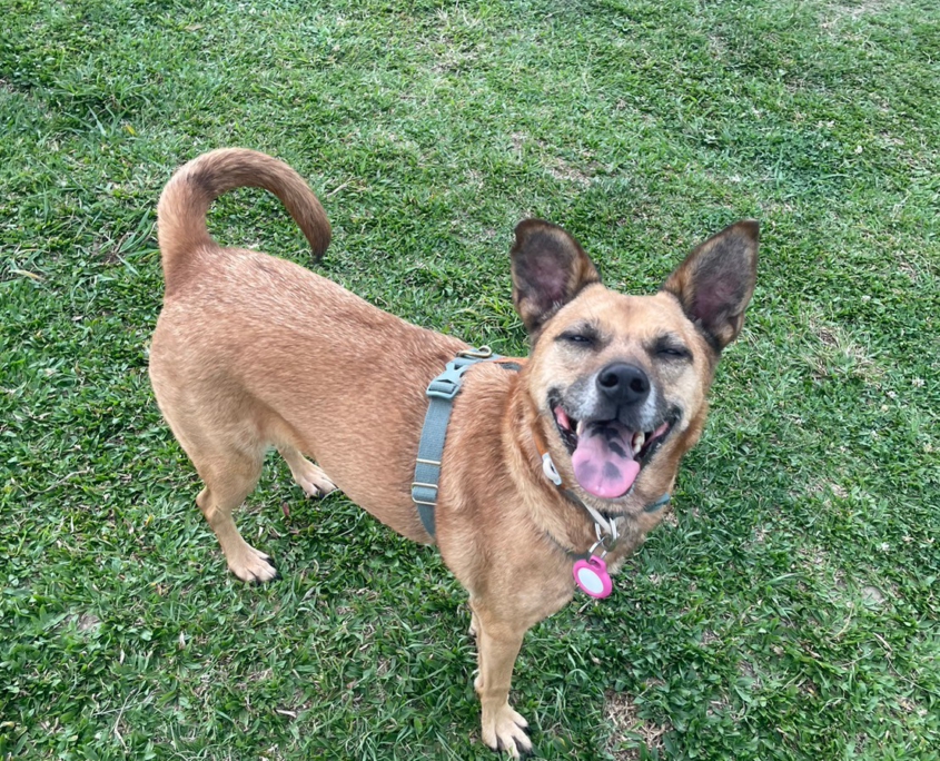 Fluv_IGOTYOU_Foster_焦糖中途日常_250611_1