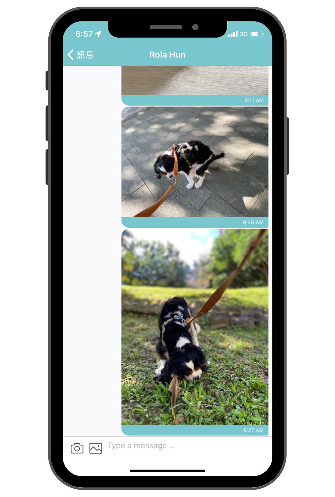 毛小愛保姆_安親寄宿服務回報_4 毛小愛保姆_安親寄宿服務回報_4