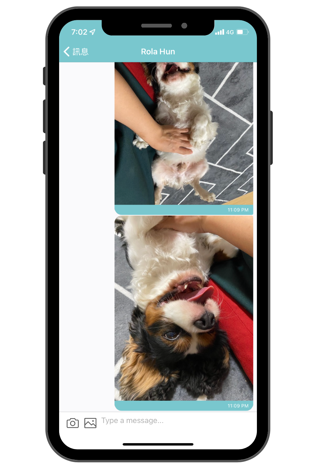 毛小愛保姆_安親寄宿服務回報_3 毛小愛保姆_安親寄宿服務回報_3