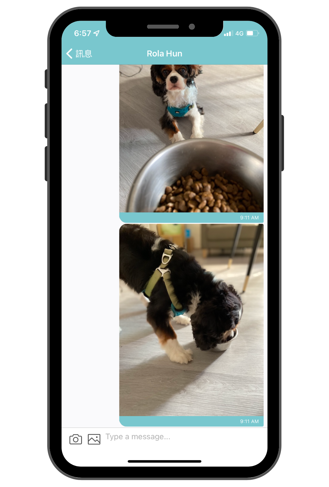 毛小愛保姆_安親寄宿服務回報_5 毛小愛保姆_安親寄宿服務回報_5