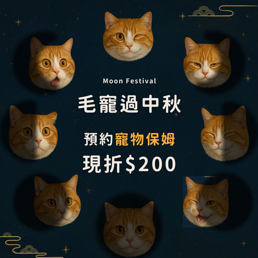 Line 圖文訊息 1040X1040