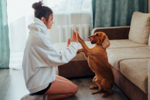 愛動物、有空間與時間的人