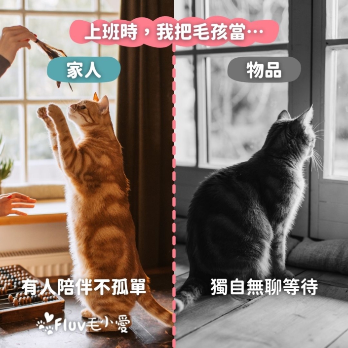 上班時，我把毛孩當…