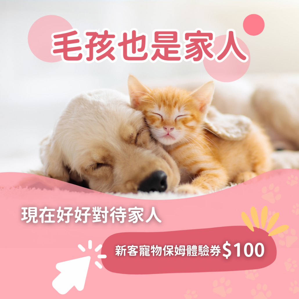 毛孩也是家人